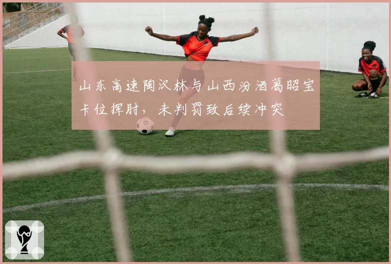 山东高速陶汉林与山西汾酒葛昭宝卡位挥肘，未判罚致后续冲突