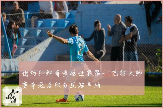 德约科维奇重返世界第一 巴黎大师赛夺冠后积分反超辛纳