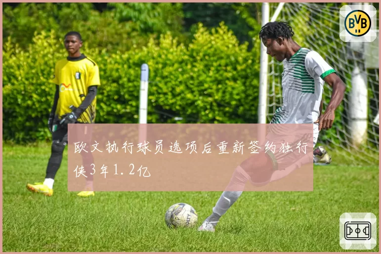 欧文执行球员选项后重新签约独行侠3年1.2亿