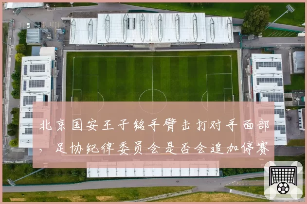 北京国安王子铭手臂击打对手面部，足协纪律委员会是否会追加停赛处罚？